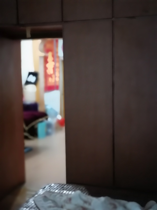 杏南小區(qū)50萬_7
