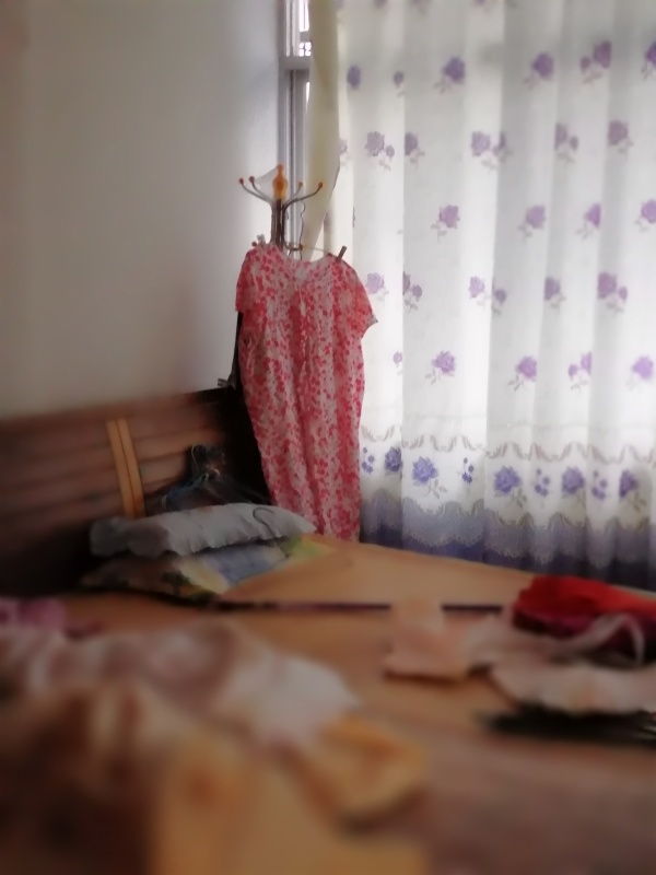 杏南小區(qū)50萬_6