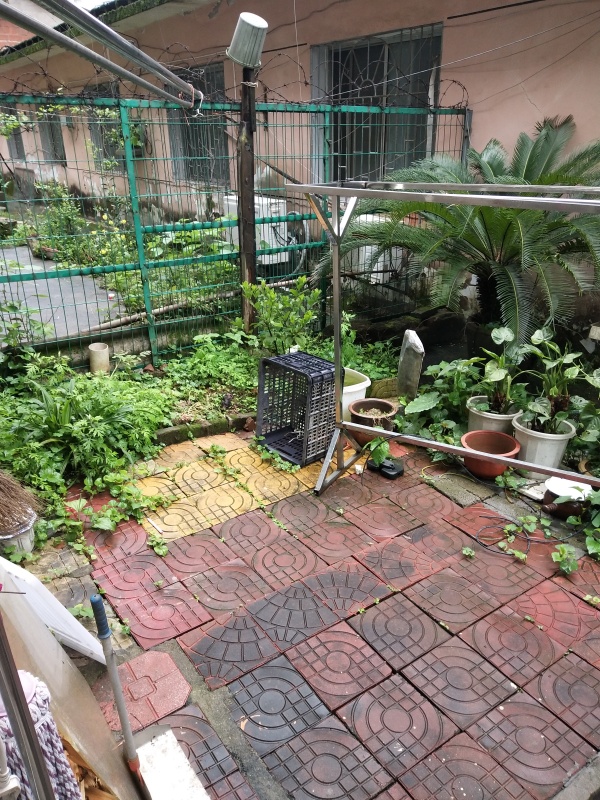 鐵路新村42萬_4